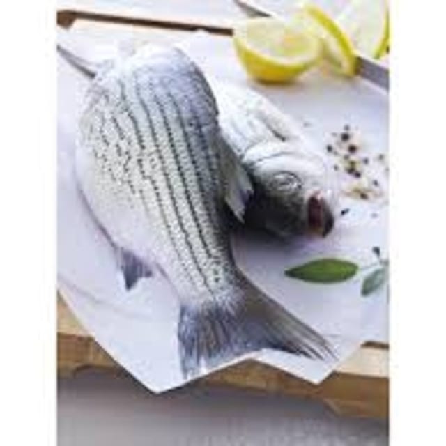 Stripped Bass.