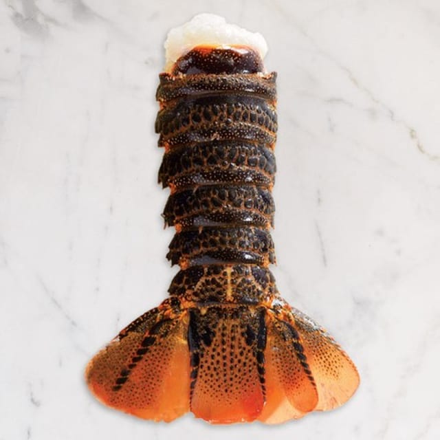 Maine Lobster Tails.