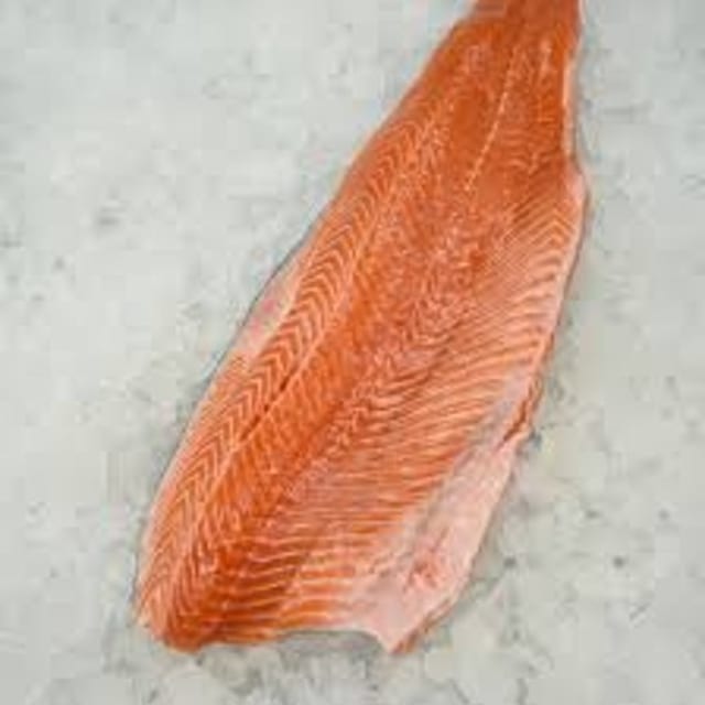 Salmon.