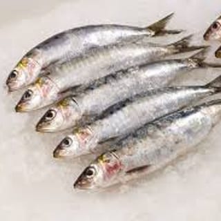 Sardines