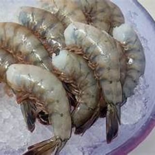 Large Wild Gulf Shrimps